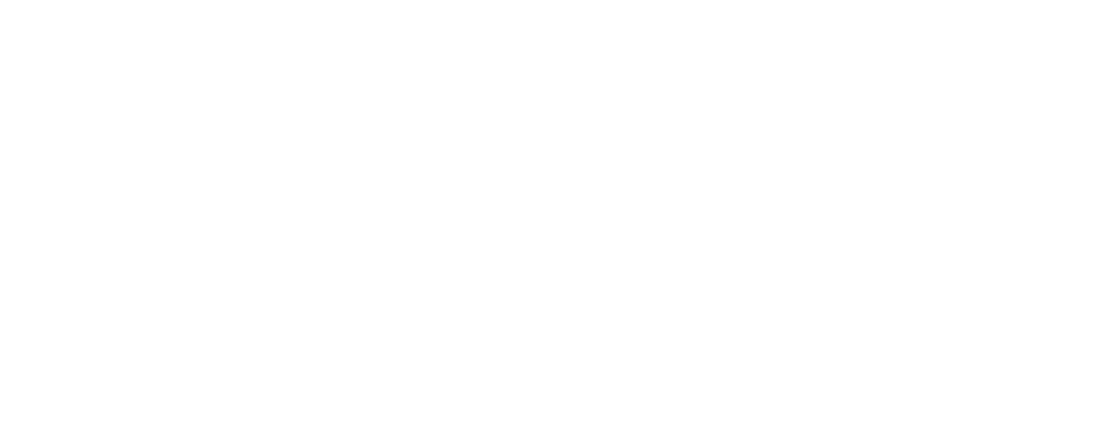 logo-weiss